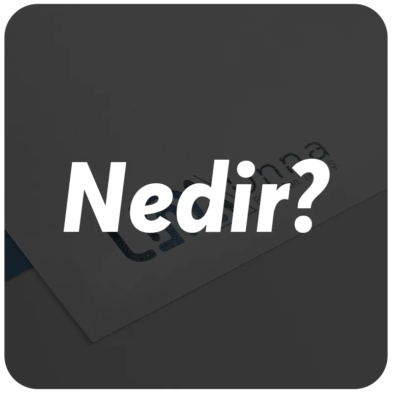 AD Audit Plus Nedir? Ne İşe Yarar?